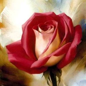 Meet your Posher, Hayden